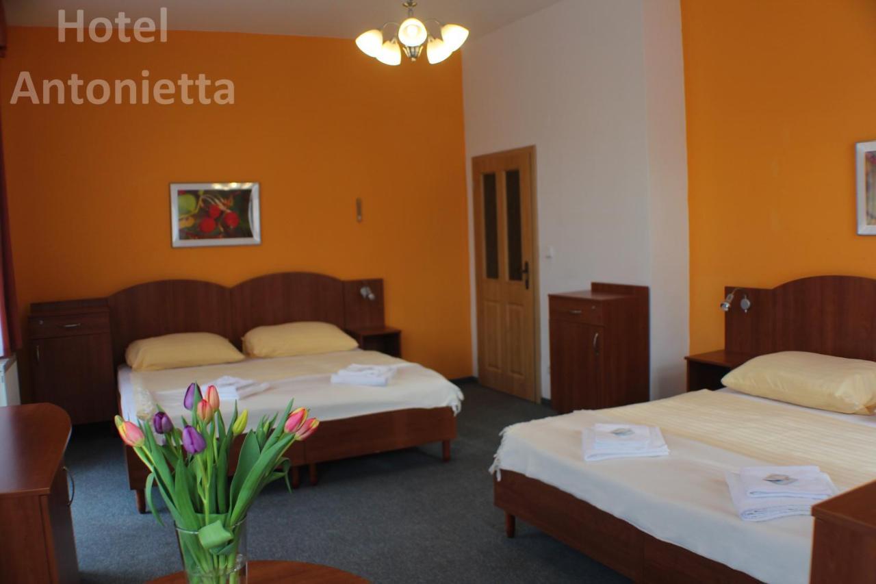 Hotel Antonietta 테플리체 외부 사진